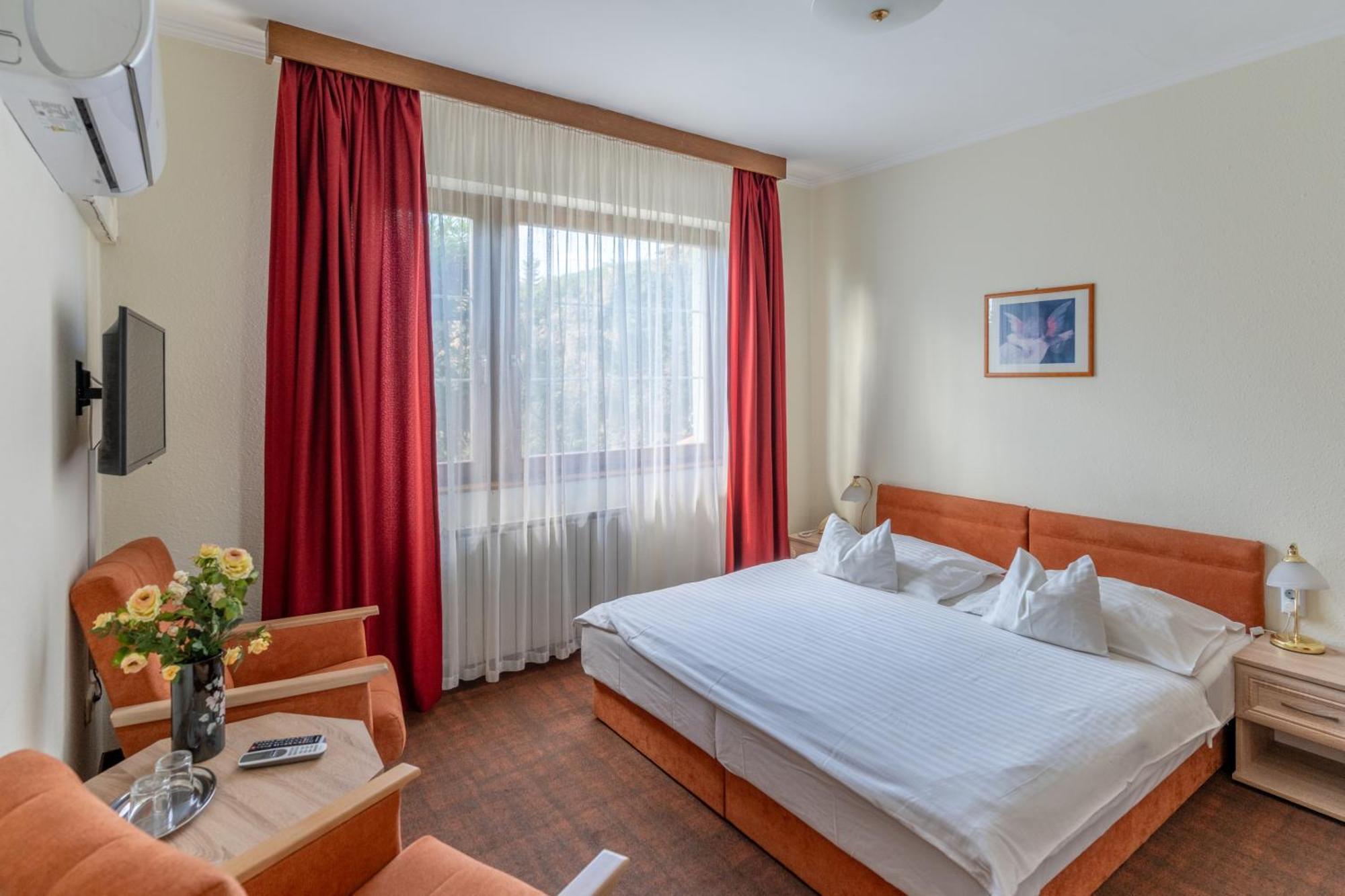 Superior Single Room